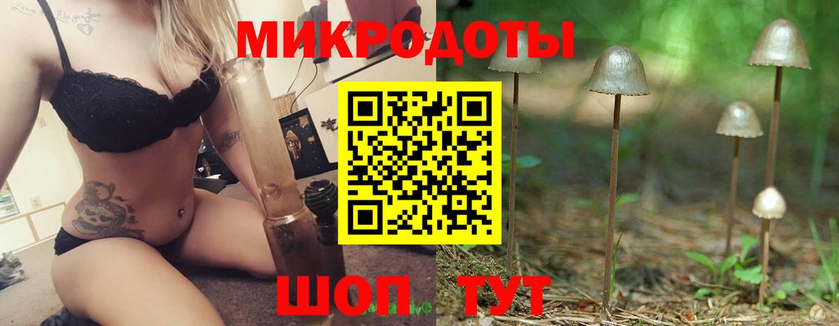 Гусиноозёрск  Галлюциногенные грибы GOLDEN TEACHER  Вход с VPN  Галлюциногенные грибы ЛСД 