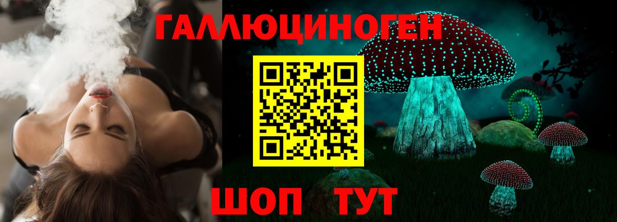 Галлюциногенные грибы MAGIC MUSHROOMS Гусиноозёрск